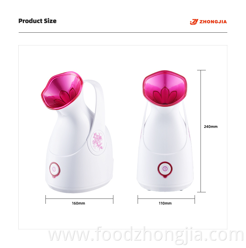 Wholesale Professional Electric Mini Beauty Product Nano Ionic Face Humidifier Hot Mist Facial Steamer Machine